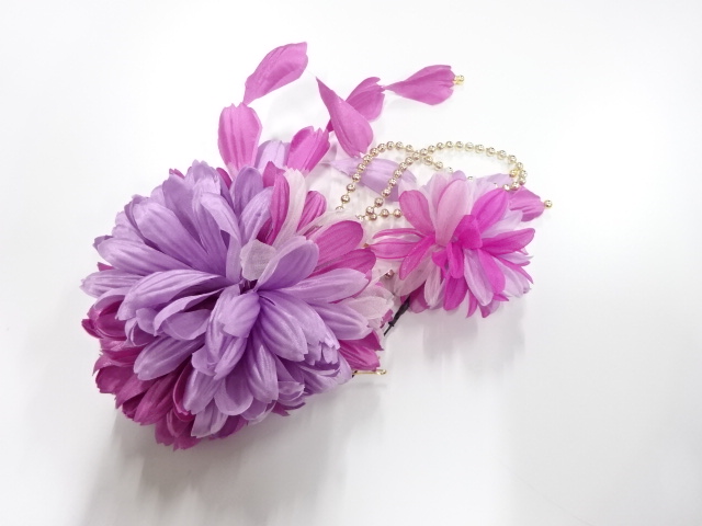 Japanese Kimono / Others (Bolt etc)